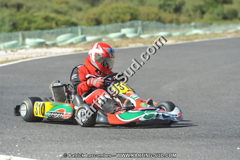 DSC (2729).JPG